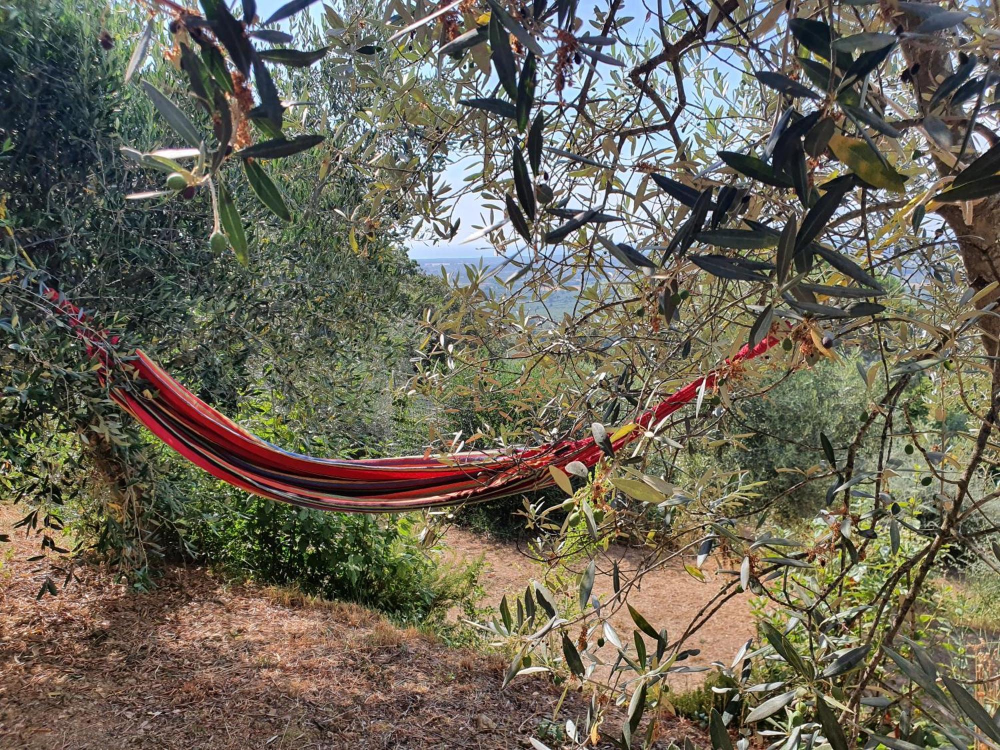 Agricamping La Gallinella Castagneto Carducci Buitenkant foto