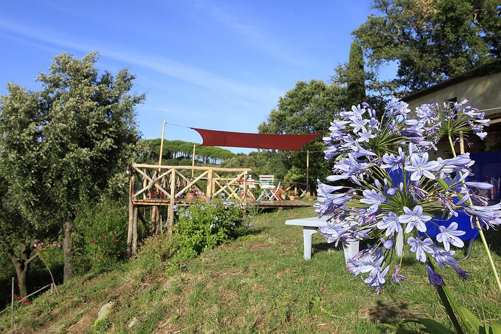 Agricamping La Gallinella Castagneto Carducci Buitenkant foto